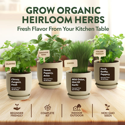 HOME GROWN Indoor Organic Herb Garden Kit, Unique Valentines Day Gift for Adults, Men, & Women,Grow 4 Herb Seeds for Kitchen Window Garden,Beginner DIY Hobby Gardening for Plant Lovers, Mom & Dad