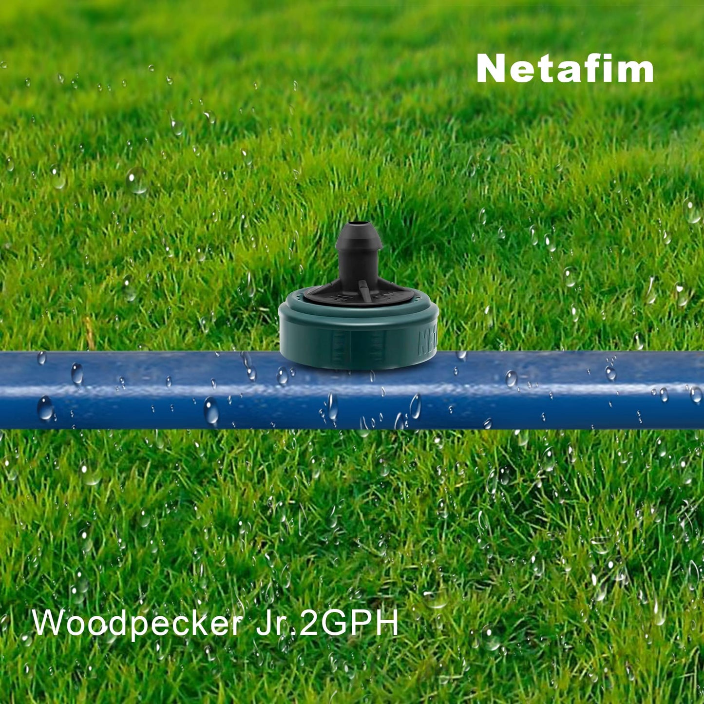 DripGrows Netafim 2 GPH Woodpecker Jr Pressure Compensating Drip Emitters (50)