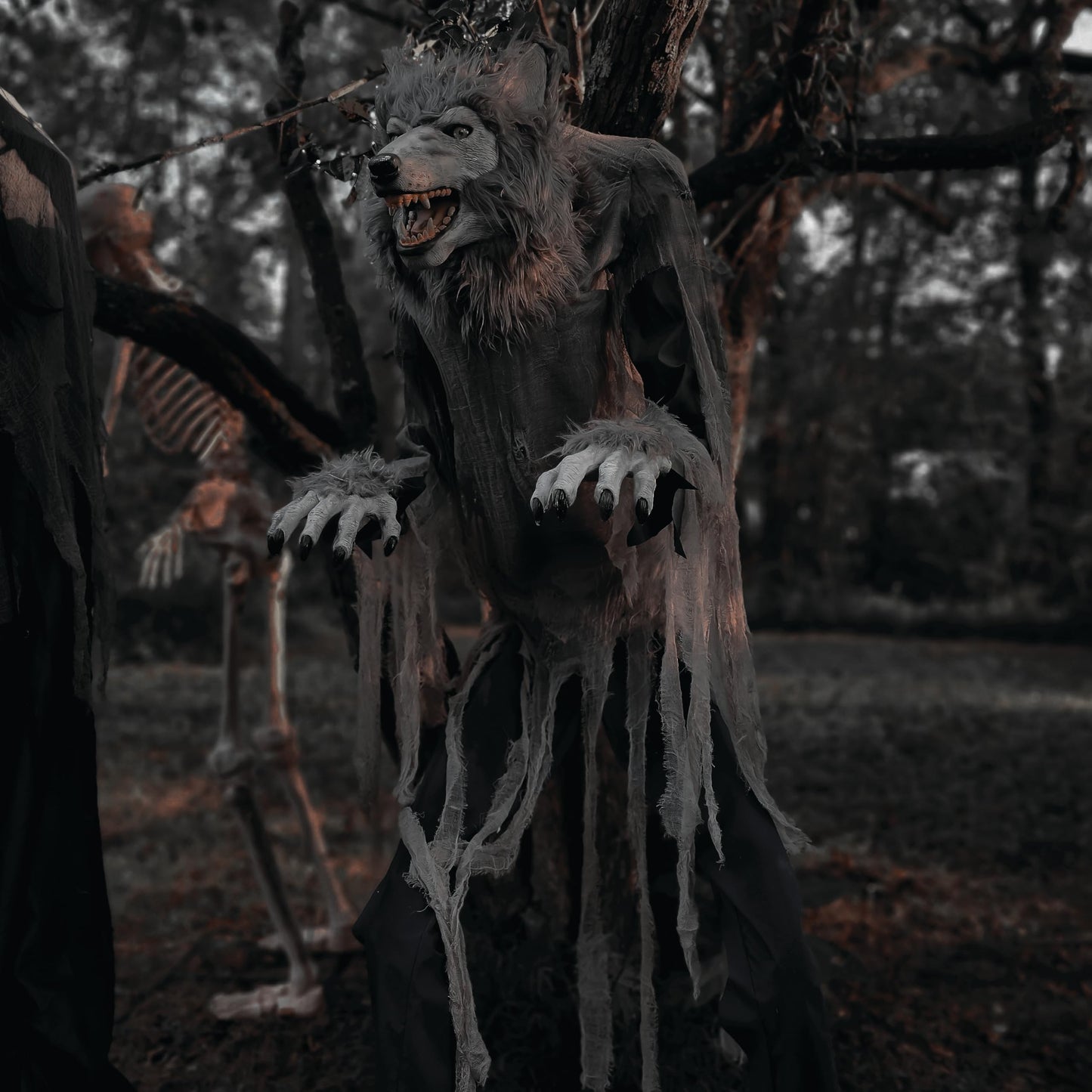 Haunted Hill Farm 7-Ft. Tall Motion-Activated Towering Werewolf by SVI, Premium Halloween Animatronic, Plug-in (HHTWRWOLF-1FLSA)