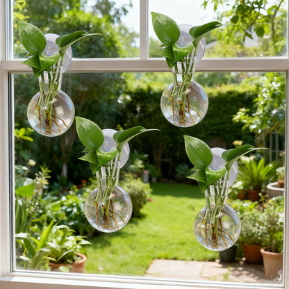 Baderke 6 Pack Window Propagation Stations Plastic Wall Hanging Planter with Suction Cups Brush Window Suction Plant Holder Vases Tubes Terrarium for Home Office Decor (Bulb)