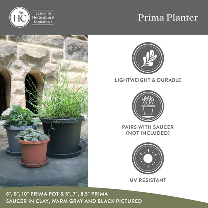 The HC Companies 10 Inch Prima Round Planter Pots with Drainage Holes and Rolled Rim, Lightweight UV-Resistant Plastic Indoor & Outdoor Planters, 2-Pack Flower Pots for Garden & Home Decor, Sandstone