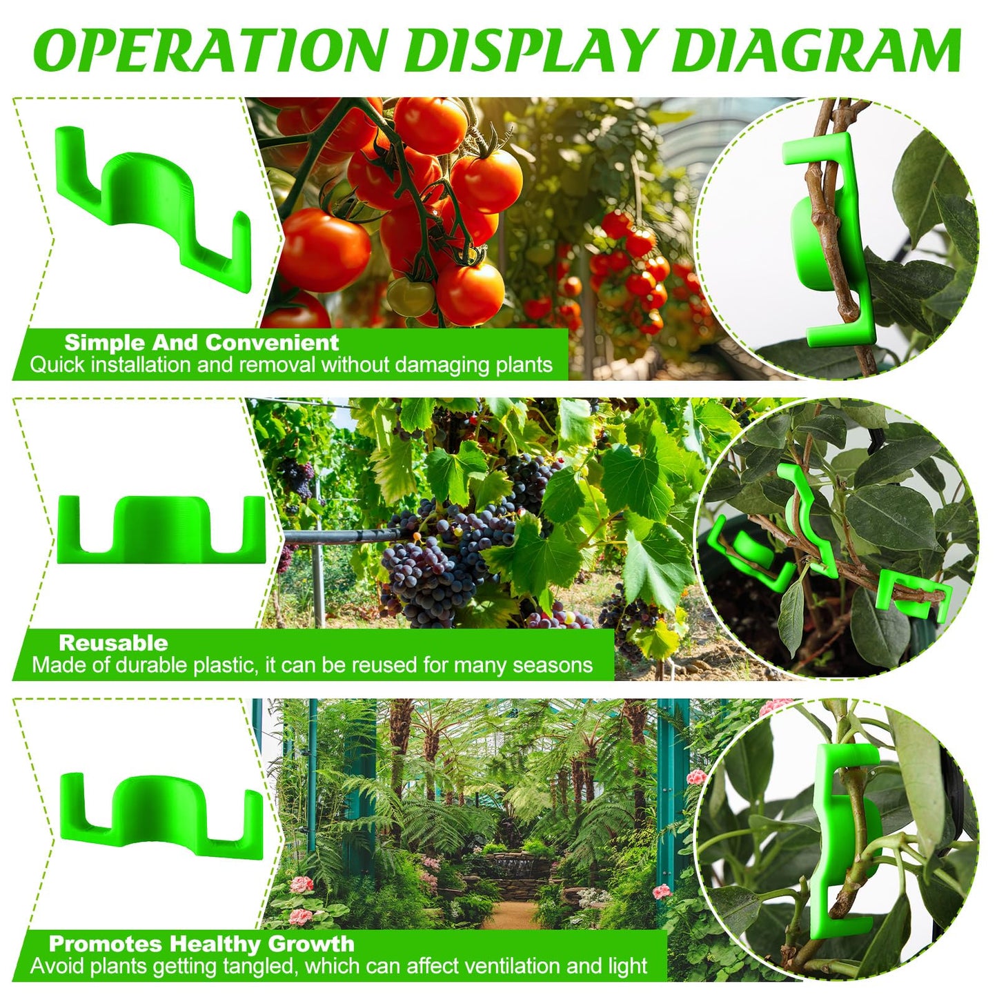 Feekoon 40 Pack Universal LST Plant Training Clips Reusable Low Stress Branch Benders for Enhanced Light Exposure & Airflow – Ideal for Indoor Gardening Cultivation to Bend or Interlock Stems(Green)