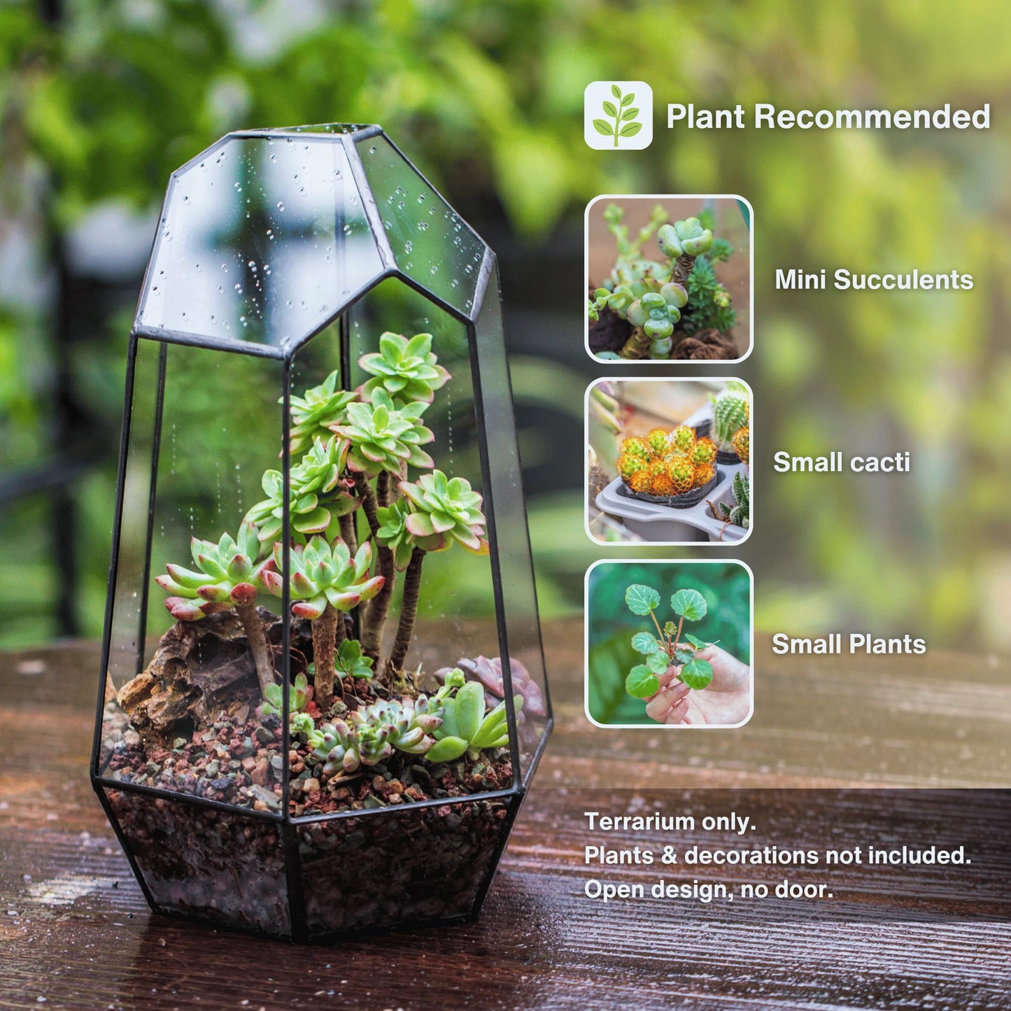 NCYP No Door Geometric Glass Terrarium Planter for Small Succulent, Small Cacti, Black Irregular Opened Terrarium Pot, Indoor Home Garden Office Tabletop Decor, 6.5" x 5.7" x 9.8" (No Plants)