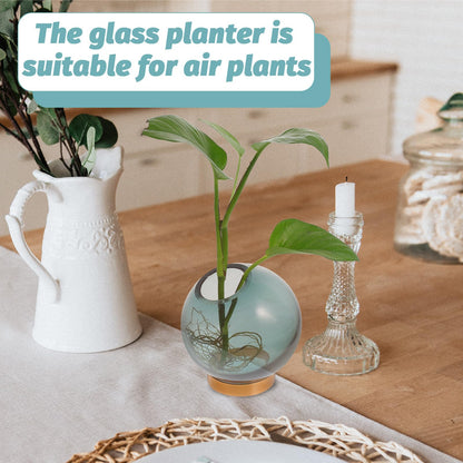 NUOBESTY Glass Vase with Copper Stand, Small Hydroponic Flower Planter for Floral Arrangement and Indoor Home Décor, Round Glass Terrarium Vase