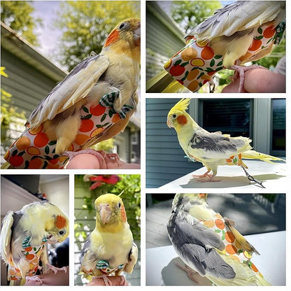 6 Pcs Bird Diapers Bird Harness Flight Suits Diapers Reusable Parrot Nappy with Waterproof Inner Layer Washable Cute Urine Wet Suit Costume for Cockatiel Conure Budgie Macaw Parakeet, S