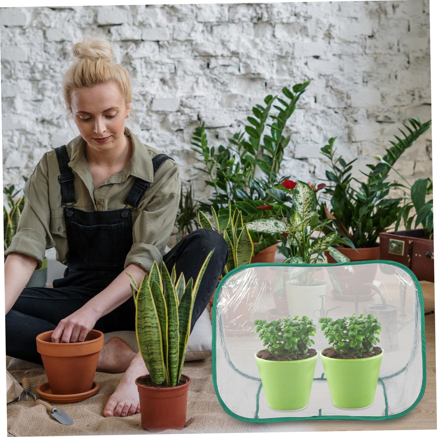 BAZEITFLOW Mini Garden Greenhouse Portable Foldable Plant Care Tent for and Small Plants Design for Spaces Weather-Resistant Growth Chamber for Use