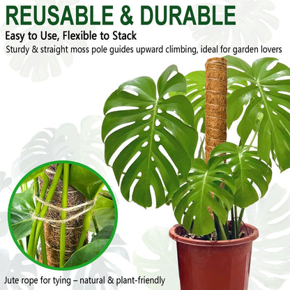 Soupiar 2 Pack 22 Inch Stackable Moss Pole - Thick & Sturdy Natural Coir Totem Plant Support & Garden Stakes for Monstera & Pothos, Indoor Climbing Vining Houseplants, 38" H Max