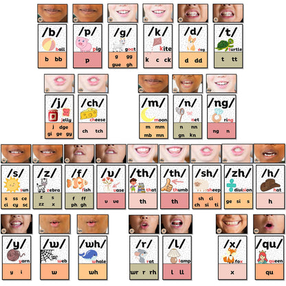 Ireer Pastel Consonants Sound Wall for Classroom Neutral Phonics Kit, Science of Reading Posters for Classroom Decor, Kindergarten Speech Materials, Phonemic Awareness, Esl Teaching Material