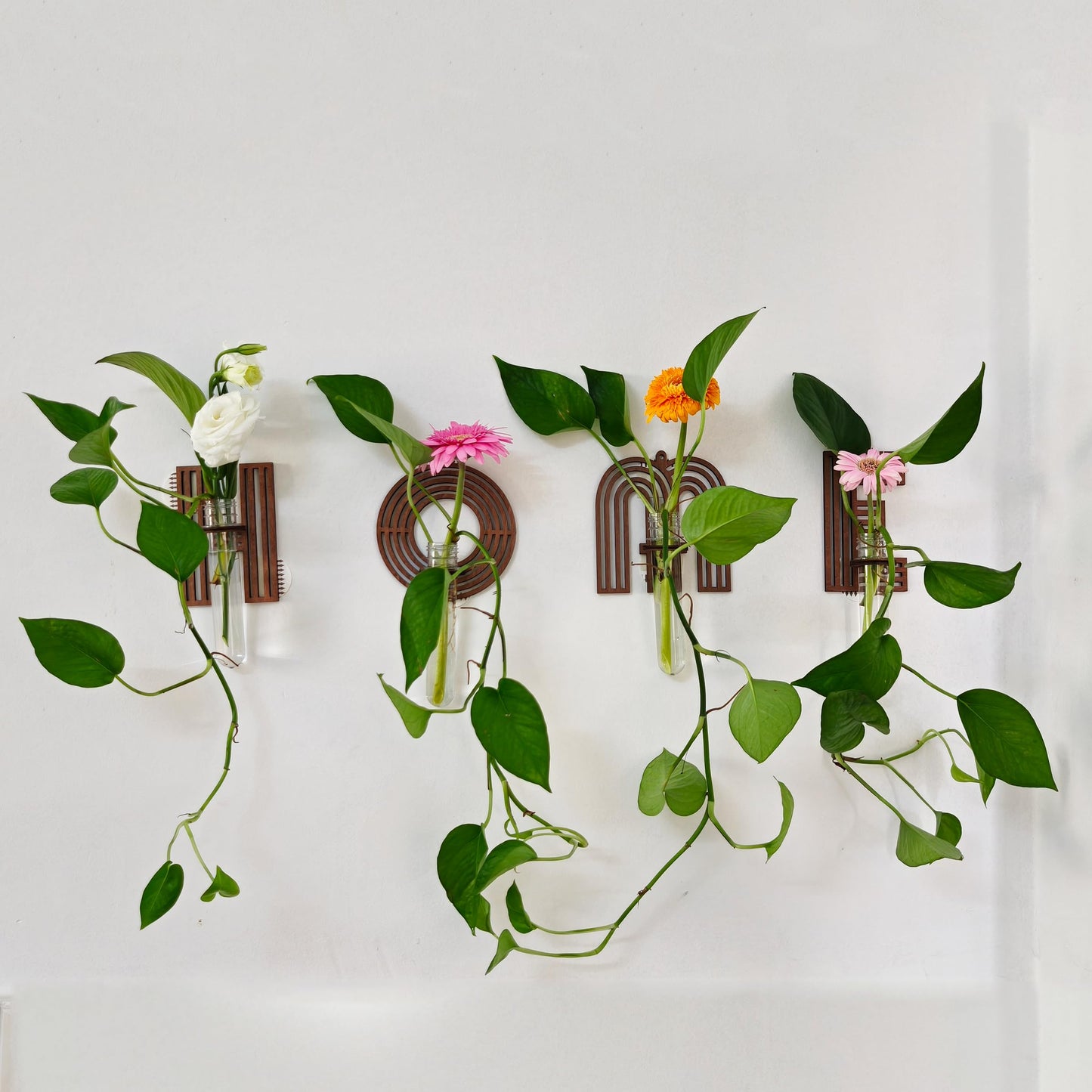 Home Letter Wall Propagation Planters Test Tubes Wall Decor for Hanging Plants Clear Water Plant Vase Brown Wood Water Propagation Station 4 Pack