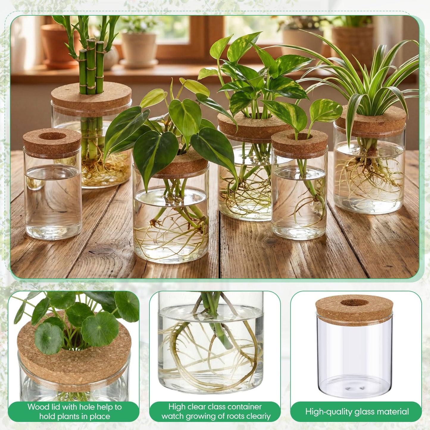 Ferrochef 6 Pcs Glass Plant Propagation Stations (2 Large + 2 Medium + 2 Small) Hydroponic Flower Vases Desktop Plant Terrarium Jar for Cuttings, for Living Room, Bedroom, Home Decoration