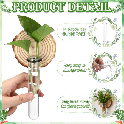 Chumia 6 Pcs Plant Propagation Stations Wall Hanging Planter Glass Plant Propagation Station, Natural Wood Slices Stand for Home Office Decoration