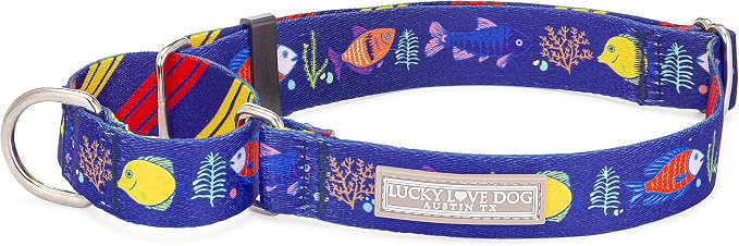 Lucky Love Dog Martingale Collar, Blue Color No Slip Collars for Small Dogs, Tropical Fish Pattern Martingale Dog Collar, Great for Whippets, Greyhounds, and More (Mackey, Small)