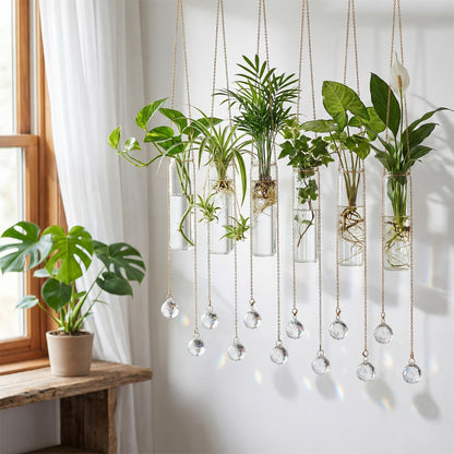 Hushee 6 Pcs Hanging Propagation Stations with Crystal Suncatcher Glass Hanging Wall Planters Indoor Plants Hydroponic Tubes for Plants Flowers Windows Home Decoration