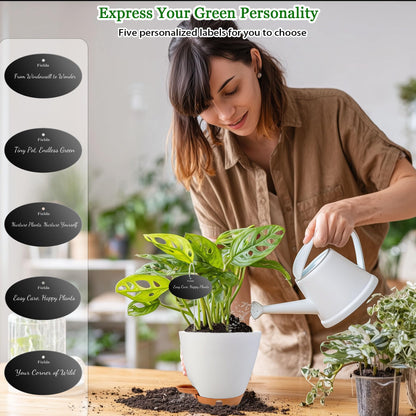Fielda 10 Inch Hanging Planters for Indoor Plants & Outdoor, 6 Inch Self Watering Pots for Indoor Plants (5-Pack) Plastic Planters with Water Window, Drainage Holes & Trays