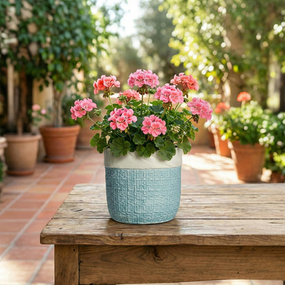 Teagas Ceramic Pots for Plants - 6 Inch Plant Pot for Indoor Succulent Plants, Round Planters with Drainage Hole, Decorative Flower Pots, Garden House Room Decor, Gardening Gifts for Women, Blue