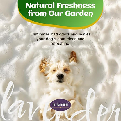 Dr. Lavender Deodorizing Dog Shampoo for Smelly Dogs - Natural Lemongrass Oil Pet Wash - Antifungal & Deep Cleansing for Oily Coats - Organic Odor Eliminator & Itch Relief - Safe for Puppy & Cat