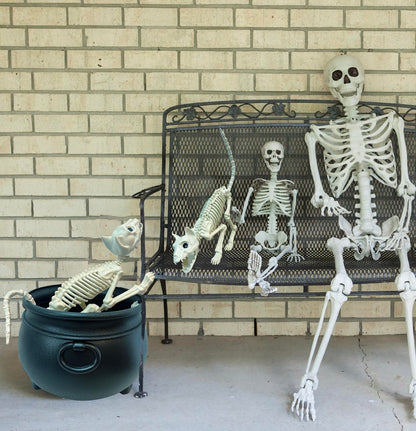 GIFTEXPRESS 2 Pack Real Size Cat Skeleton - 20" Long Creepy Kitten Skeletons with Posable Tail Halloween Decor - Indoor & Outdoor Haunted House Scary Animal Party Decoration