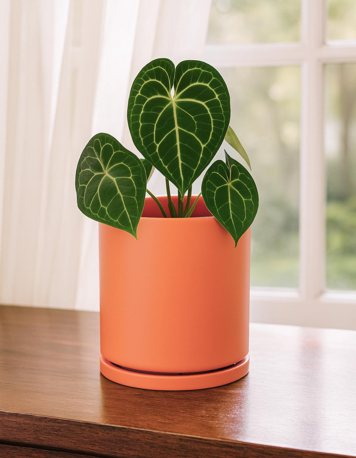 D'vine Dev Double-Layer Self-Draining Planter Set – Rotating Plastic Outer Pot with Clear Inner Liner for Root Health, Perfect for Indoor Plants, 4.5", Set of 2, Pumpkin, 73-V-E-1