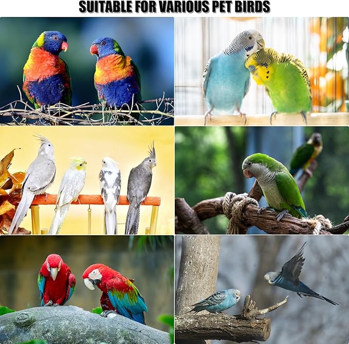 Bird Perch,1PC Wooden Parrot Stand Perch,Bird Ladder Bridge Climbing Chewing Toys for Small Medium Animals (4 Ladders)