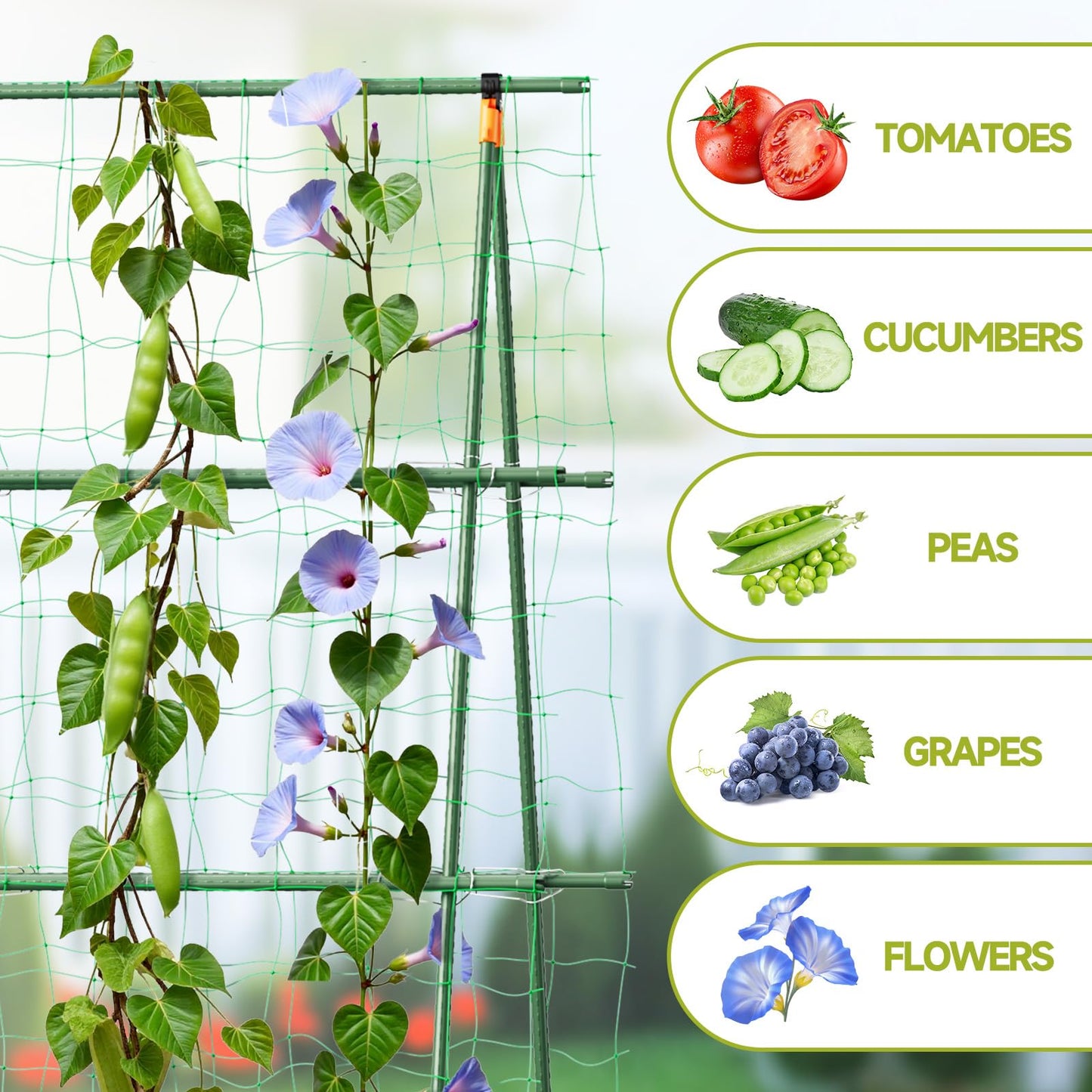 HIRALIY A Frame Cucumber Trellis for Climbing Plants Outdoor, 57" x 31" Heavy Duty Metal Garden Trellis, Rustproof Plant Support for Tomato, Grape, Bean, Raised Bed and Vegetable Gardens, Green