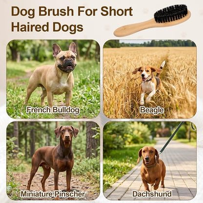 YUXIANLB Boar Bristle Pet Brush with Wood Handle, Soft Brush for Short Hair | Soft Cat and Dog Daily Grooming Tool for Short Hair Cats Small Dogs Gentle Massage Dandruff Removal