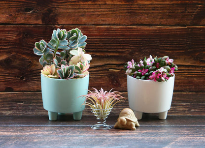 Selfwatering Mini Planters 4-Pack with Water Level Indicator for African Violets, Small House Plants