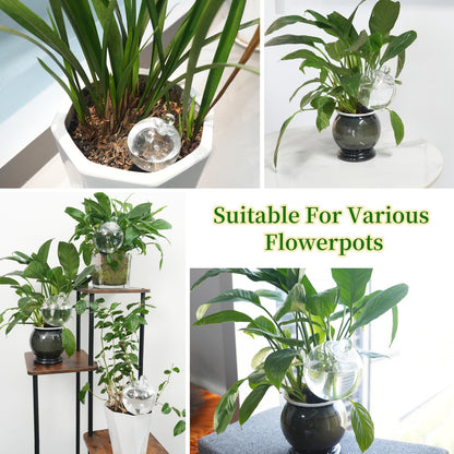 6pcs Plant Self Watering Globes with Covers, Plastic Water Bulbs Top Fill, Plant Watering Devices System Slow Release Terracotta, Water Spikes Stakes for Indoor (6)