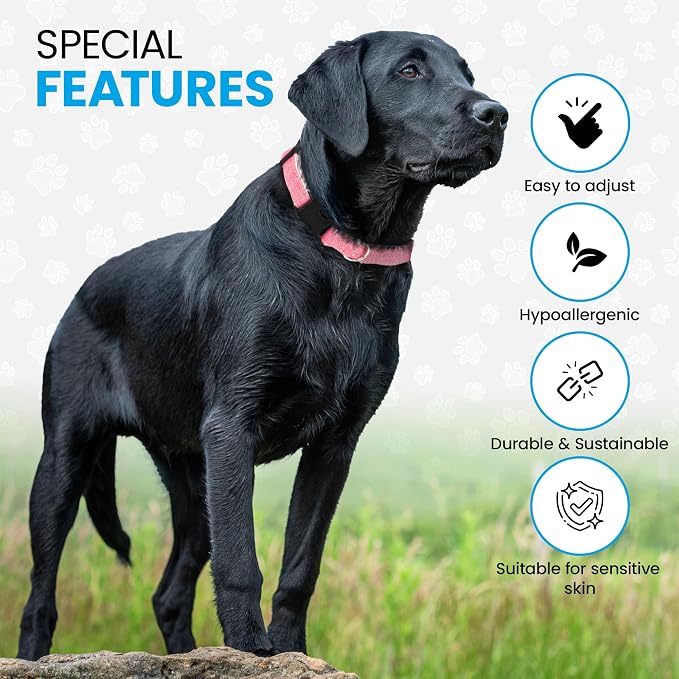 Hypoallergenic Dog Collar - Great for Sensitive Skin, Soft Collar for Dogs, Soft Organic & Earth Friendly (X-Large, Grey)