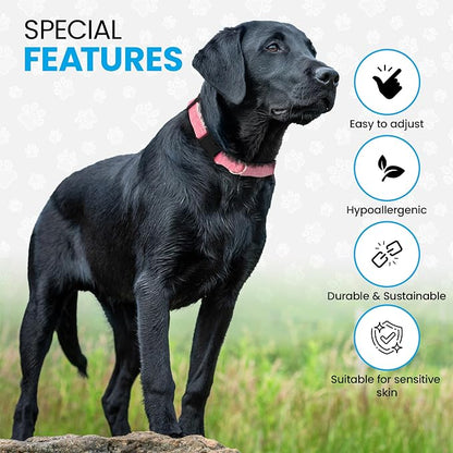 Hypoallergenic Dog Collar - Great for Sensitive Skin, Soft Collar for Dogs, Soft Organic & Earth Friendly (Small, Light Blue)