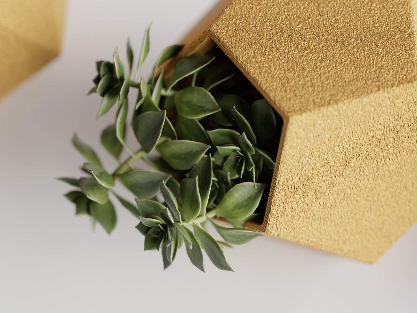 Gallery of Drip 【GeoTrio Modern Geometric Planters】– 3-Piece Faceted Pot Set for Succulents, Cactus, and Indoor Plants – Minimalist Desk Decor, Stylish Gift for Plant Lovers (Gold)