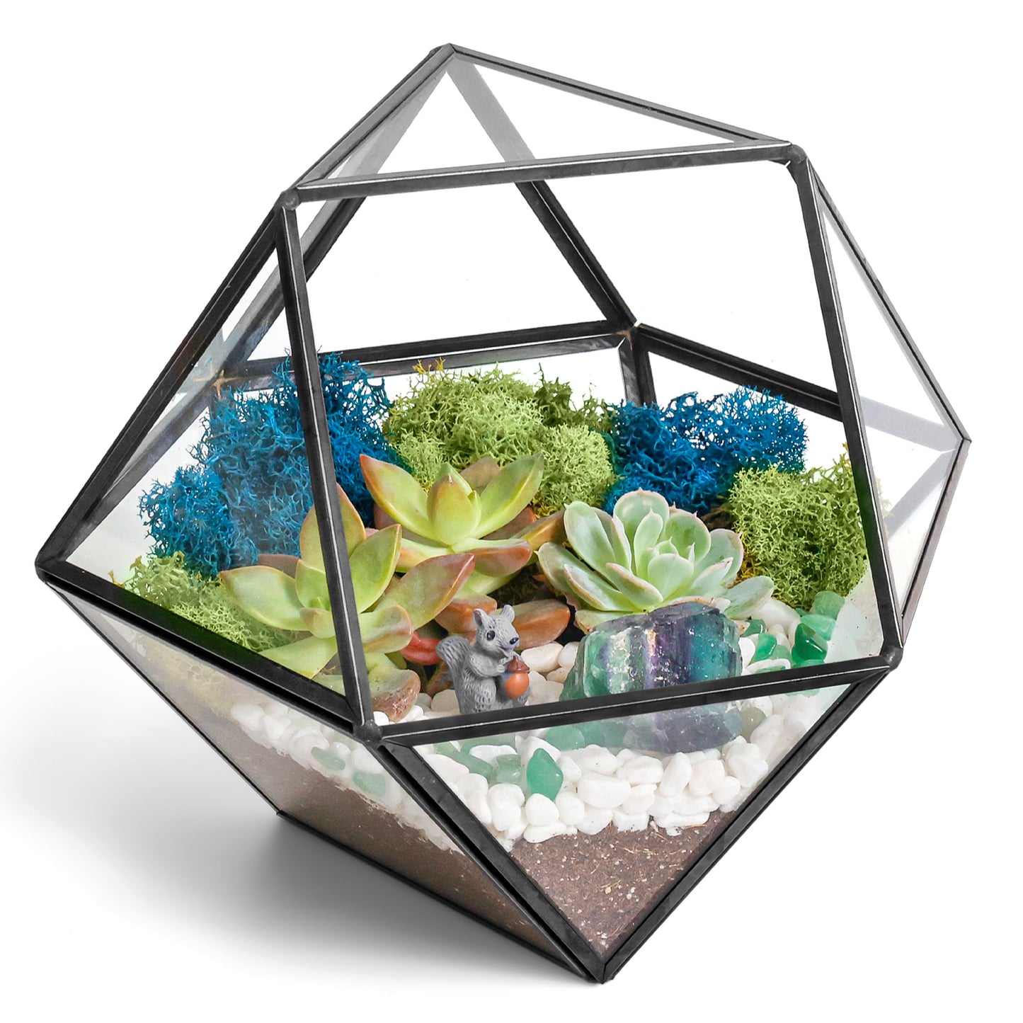 Creations by Nathalie DIY 7" Geometric Terrarium Kit - Build Your Own Glass Terrarium for Adults & Teens with Moss, Crystals, Tools & Decor - Handcrafted in the USA (Live Plant Included)