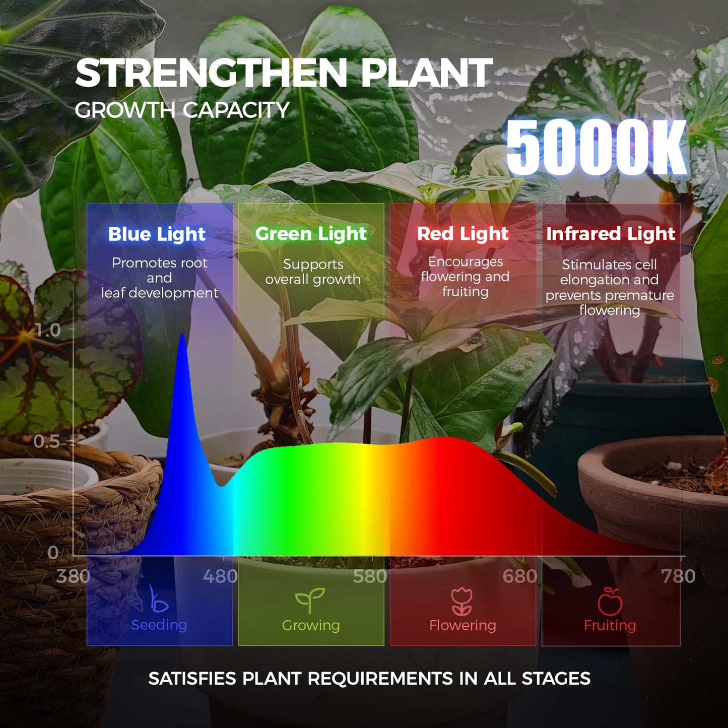 Barrina LP600 Indoor Greenhouse with Grow Light, 75W TX-S25 1.6FT 5000K, 4-Tier Plant Stand with Full Spectrum Lights, Plant Shelf with Tent, Timer & Thermometer for Seed Trays,Growth,23.6x13.8x59.1IN