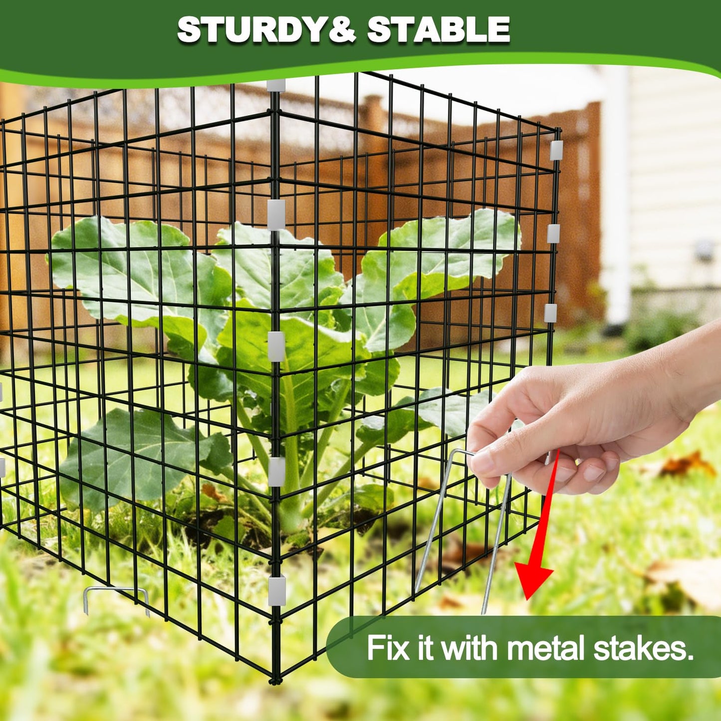 12x12 Inch Chicken Wire Mesh Plant Protectors from Animals Garden Netting Plant Covers Bird Netting for Garden Plant Cages for Outdoor Plants Garden Cloche