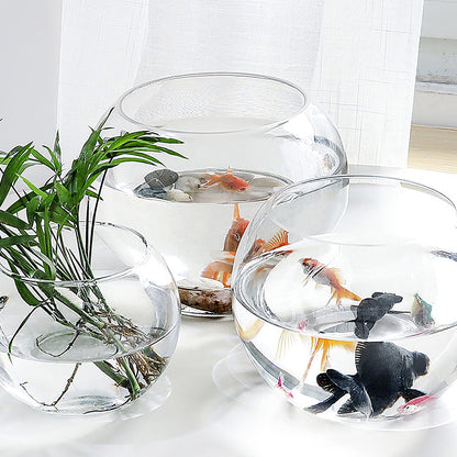 Healeved Glass Hydroponic Plant Vase 20cm Round Fish Tank Terrarium Holder Desktop Flower Pot for Home Office Decor