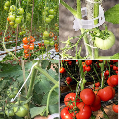 alfyng 60pcs Tomato Hooks - 20Pcs Tomato Support Hooks with 32.8ft Twine String, 40pcs Tomato Holder Hooks & Plant Support J-Hook Clips to Prevent Tomatoes from Pinching or Falling Off