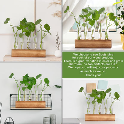 YIBOT Propagation Stations, Plant Terrarium with Wooden Stand, 5 Glass Test Tubes Vases, Birthday Gardening Gifts for Women Mom Plant Lovers, Home Office Desk Decor