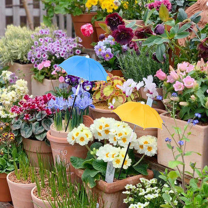 2 PCS Mini Plant Umbrellas, 10.6 Inch Diameter Small Mini Adjustable Height (23.2-31.1 Inch) Shade Umbrella for Outdoor Potted Plants Garden Bed Flower Pot Decor, Blue and Yellow