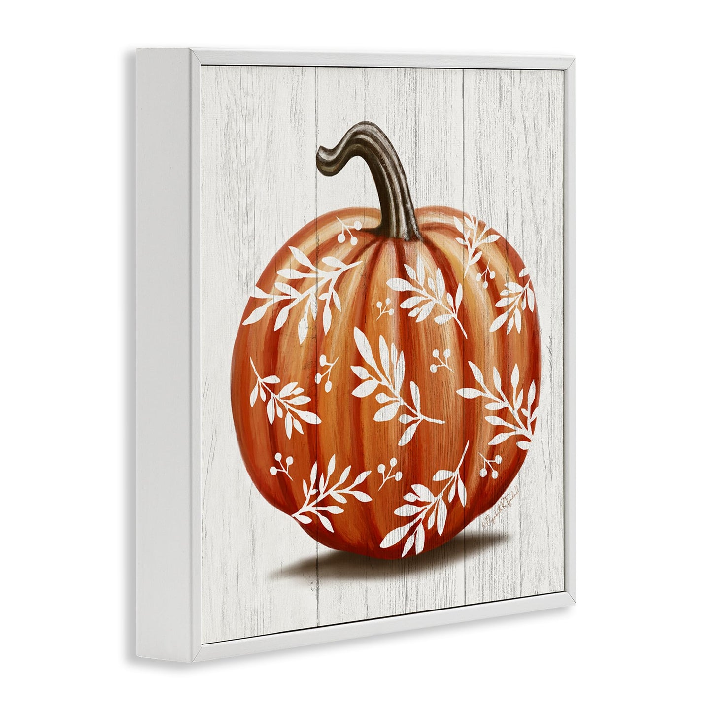 Stupell Industries 'Orange Fall Botanical Pumpkin', Framed Giclee Art, White, 12 x 12 Inches, Easy to Hang and Sturdy, Made in USA, by Elizabeth Tyndall