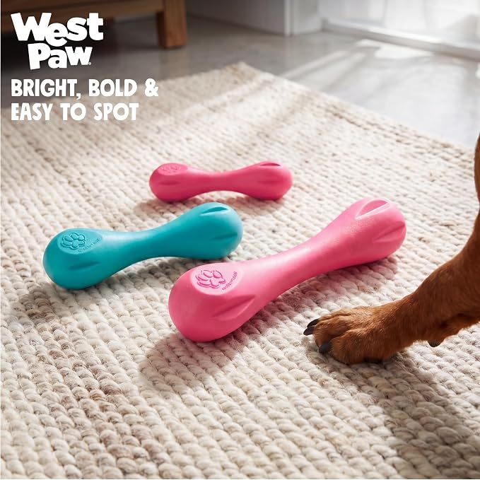 WEST PAW Zogoflex Hurley Dog Bone Chew Toy – Floatable Pet Toys for Aggressive Chewers, Catch, Fetch – Bright-Colored Bones for Dogs – Recyclable, Dishwasher-Safe, Non-Toxic, X-Small, Geranium