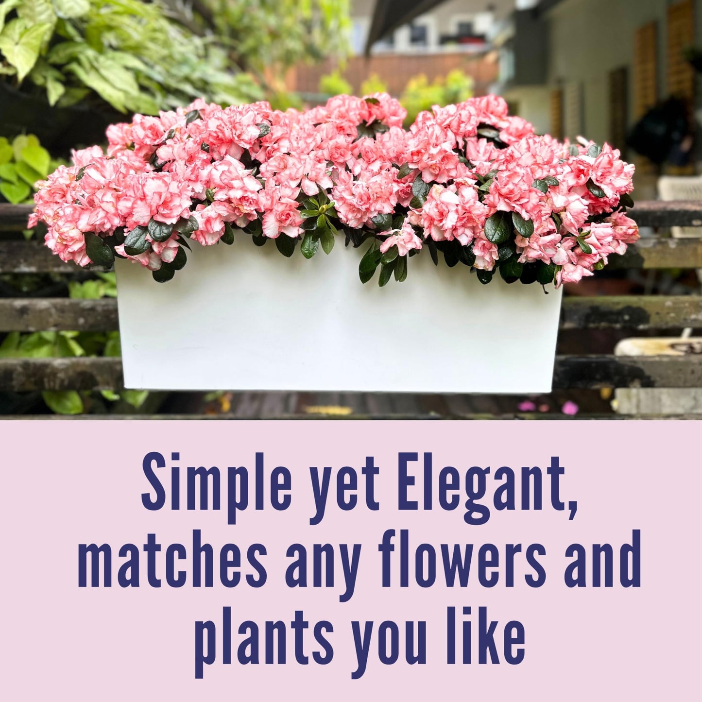 LaLaGreen Bundle- 4 Pack, 11 Inch Self Watering Hanging Basket + 2 Pack, 14 Inch White Rectangular Planter Window Flower Box with Bracket Round Plant Pots Outdoor Balcony Patio Porch Deck Garden Decor