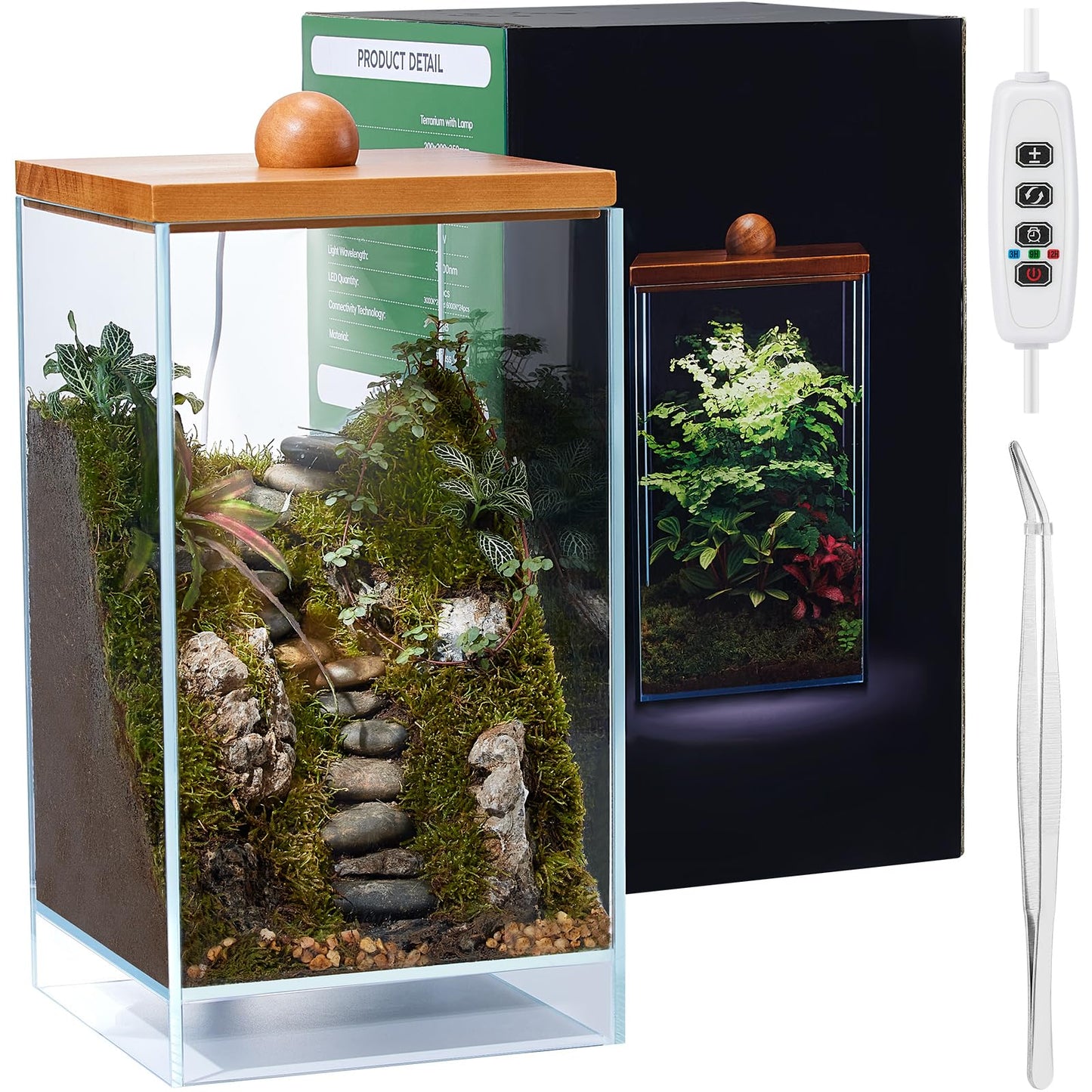 13.7H+7.8W Desktop Glass Plant Terrarium with Light, Large Propagation Station for Succulent, Moss, Miniature Gardening Landscape, Betta Fish Tank