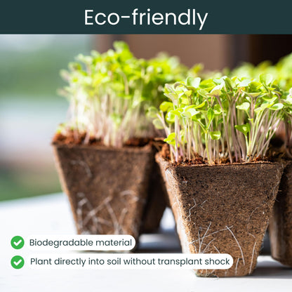 SunVara Peat Pots for Seedlings 300 Pcs, Biodegradable Seed Starter Pots with Drainage Holes, Nursery Germination Pots for Vegetables, Herbs, Flowers – Indoor Outdoor Garden