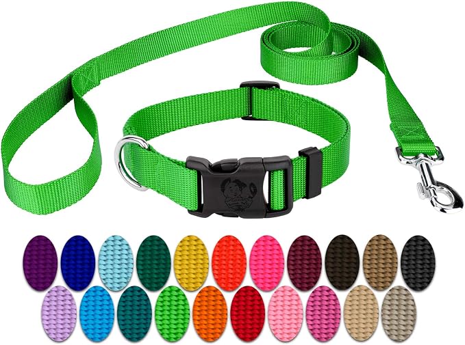 Country Brook Petz - Everyday Nylon Dog Collar and Leash - 10+ Cool Colors (1 Inch, Extra Large, Hot Lime Green)