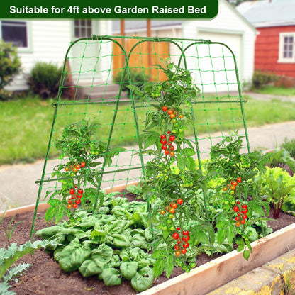 FOLLOOK Cucumber Trellis for Raised Garden Bed, Rustproof Metal Garden Arch Trellis for Climbing Plants Support Outdoor Fruit Grape Vine Vegetable Tomato Pole Bean Snap Pea Trellis, 48x48inch, Green