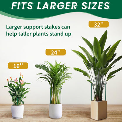 TCBWFY 14" Dx32 H Plant Supports Stakes for Large Heavy Plants,6 Pack Peony Supports,Heavy Duty 5mm Wire Peony Cages,Interlock Garden Supports Ring Border Support,Plant Support Cage for Rose Flower