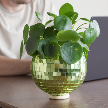 Bubblegum Stuff - Green Disco Ball Hanging Planter - 6 Inches - Hanging Planters - Indoor Plants - Available in Multiple Different Sizes - Great Gift for Plant Lovers!