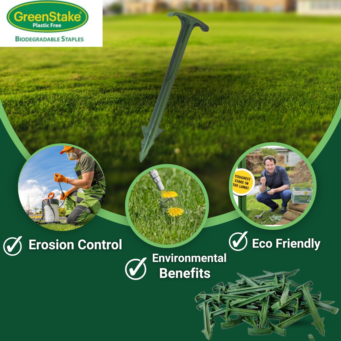 Pack of 50 - GreenStake 4-Inch Biodegradable Garden Stakes, Superior Holding Power - Eco-Friendly Garden Support Pegs & Fabric Pins for Membrane, Netting, Turf, Landscaping and Gardening