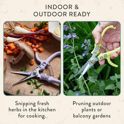 Modern Sprout Pruning Shears - Herb Snipping Scissors- Lightweight Gardening Tools W/Easy Lock - Flower Cutter Garden Shears - Carbon Steel Blade + Reusable Holster (Ocean, 1-Pack)