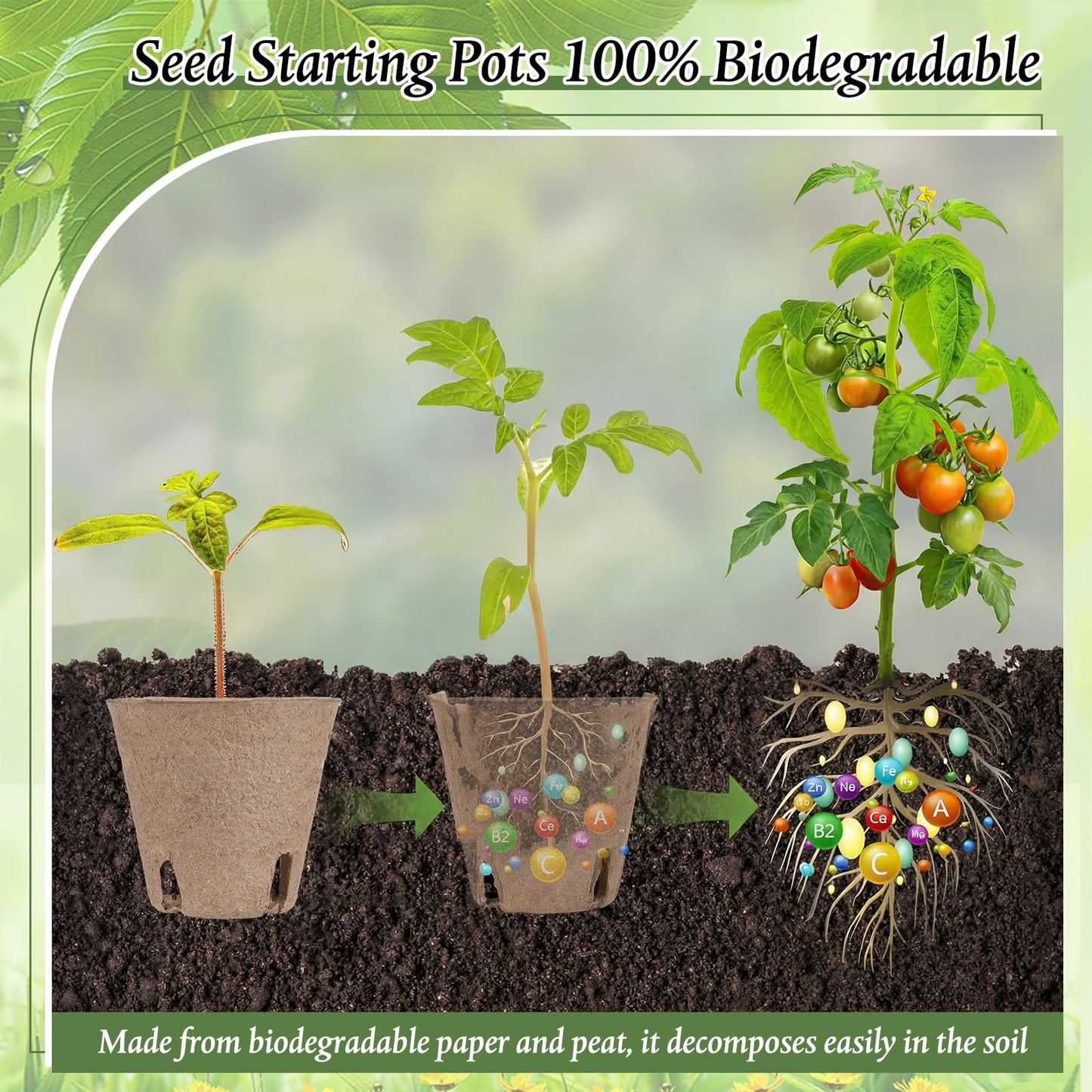 Ferrochef 240 Pcs 3.15 Inches Plant Seedling Starters Kit Peat Pots Round Plant Starter Pots with Drainage Holes Garden Germination Nursery Transplant Pot with 240 Labels and 2 Transplant Tool