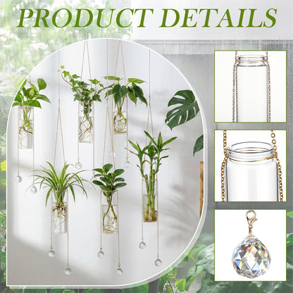 Hushee 6 Pcs Hanging Propagation Stations with Crystal Suncatcher Glass Hanging Wall Planters Indoor Plants Hydroponic Tubes for Plants Flowers Windows Home Decoration